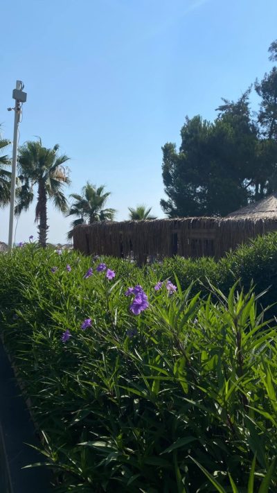 Kemer Marina в июле — фото погоды (2026-07-13)