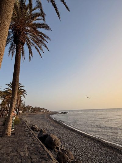 Tenerife, Islas Canarias, España — фото погоды в июле (2026-07-06)