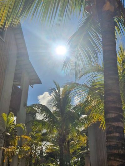 Crystal Beach Resort & Spa, Mauritius в ноябре — фото погоды (2025-11-26)