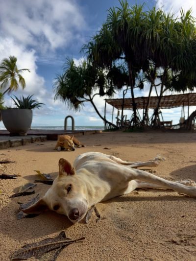 Moon Isle Beach Bungalow в ноябре — фото погоды (2025-11-26)