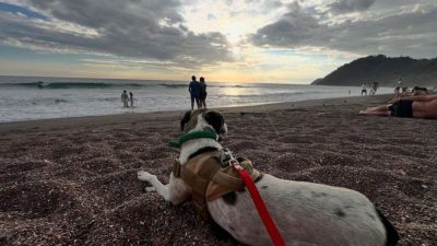 Playa Jaco в феврале — фото погоды (2026-02-21)