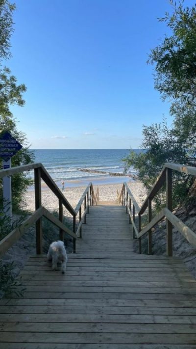 Zelenogradsk Promenade в июне — фото погоды (2024-06-12)