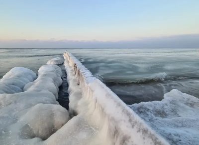 Zelenogradsk Promenade в январе — фото погоды (2026-01-24)