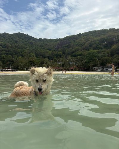 Haad Rin Koh Phangan в июле — фото погоды (2026-07-03)