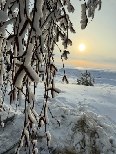 Куршская коса в январе — фото погоды (2026-01-10)