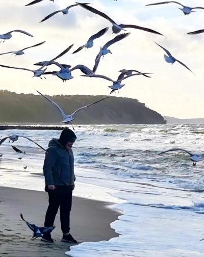 Светлогорск Море в апреле — фото погоды (2026-04-18)