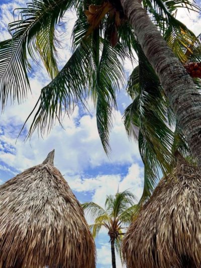 Zanzibar Beach Jan Thiel Curacao в июне — фото погоды (2026-06-12)
