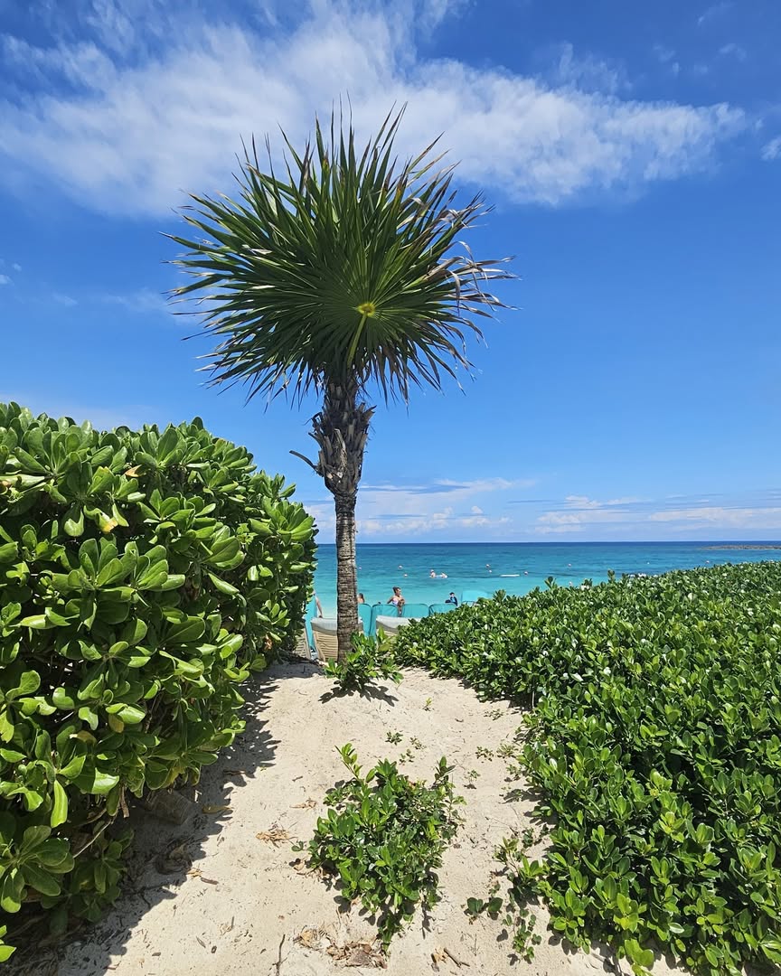 Погода в Atlantis Hotel & Casino, Paradise Island, Nassau, Bahamas