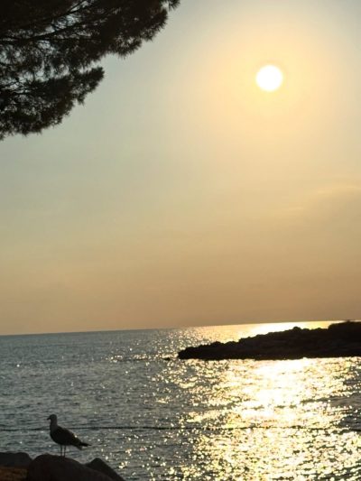 Valamar Isabella Island Resort — фото погоды в июле (2025-07-12)