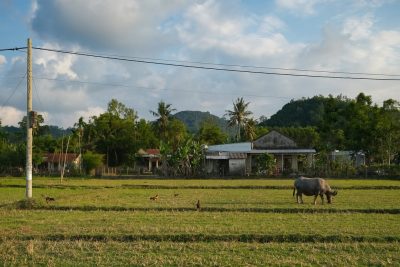 Hồ Phú Ninh в мае — фото погоды (2026-05-13)