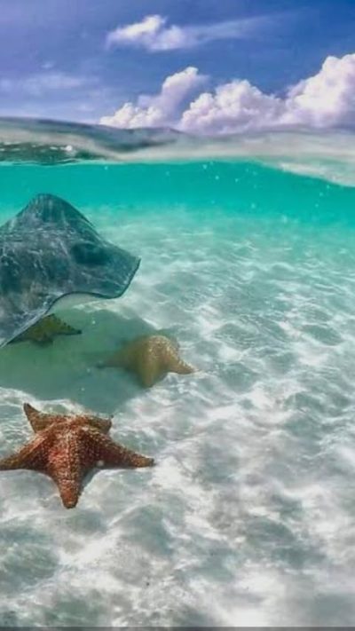 El Cielito Cozumel в октябре — фото погоды (2025-10-09)