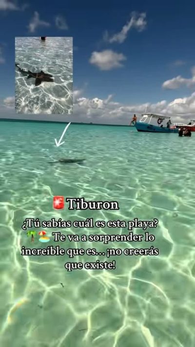 El Cielito Cozumel в январе — фото погоды (2026-01-11)