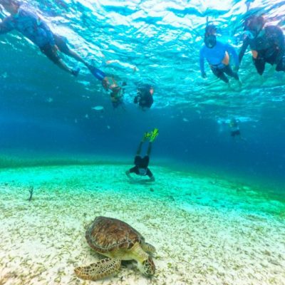 El Cielito Cozumel в апреле — фото погоды (2026-04-25)
