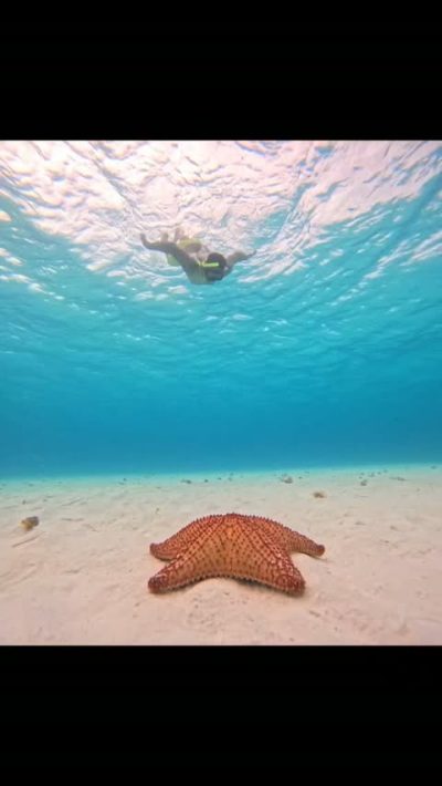 El Cielito Cozumel в июле — фото погоды (2026-07-11)