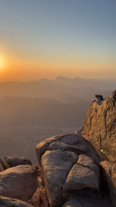 Синайский Полуостров, Гора Моисея. в июне — фото погоды (2026-06-30)