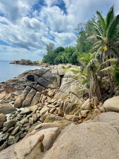 Police Bay Seychelles в январе — фото погоды (2026-01-22)