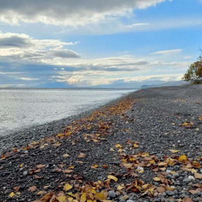 Республика Крым в ноябре — фото погоды (2025-11-12)
