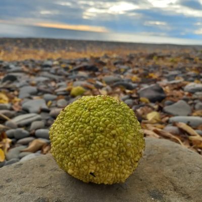 п. Морское в ноябре — фото погоды (2025-11-12)