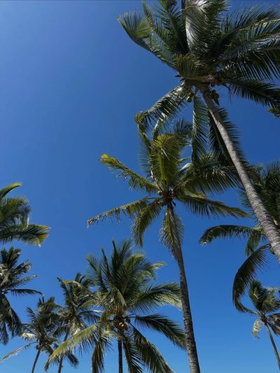 La Morne Mauritius в марте — фото погоды (2026-03-11)