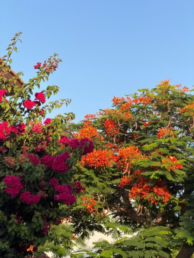 Protaras, Cyprus в июле — фото погоды (2026-07-09)