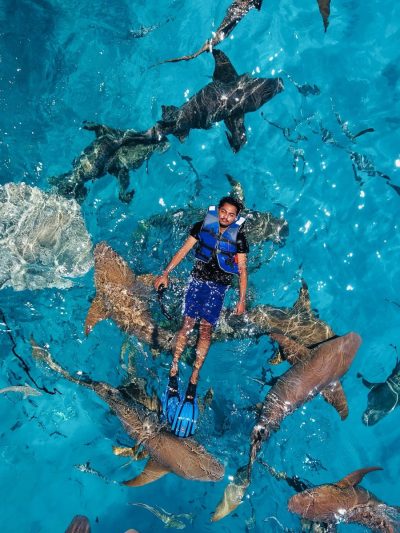 Shark Point Ari Atoll Maldives в августе — фото погоды (2025-08-31)