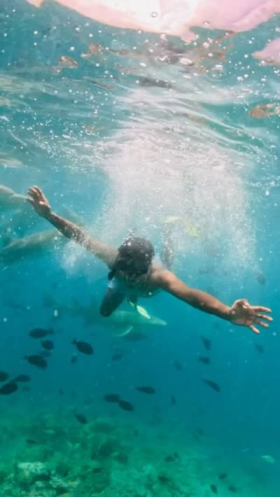 Shark Point Ari Atoll Maldives в сентябре — фото погоды (2025-09-14)
