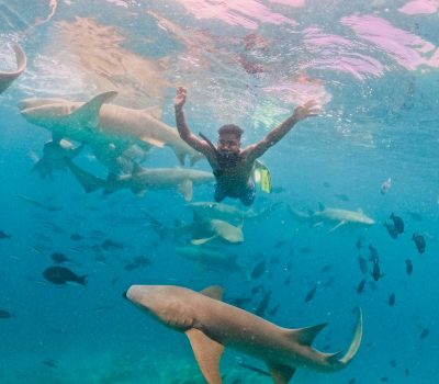 Shark Point Ari Atoll Maldives в сентябре — фото погоды (2025-09-20)