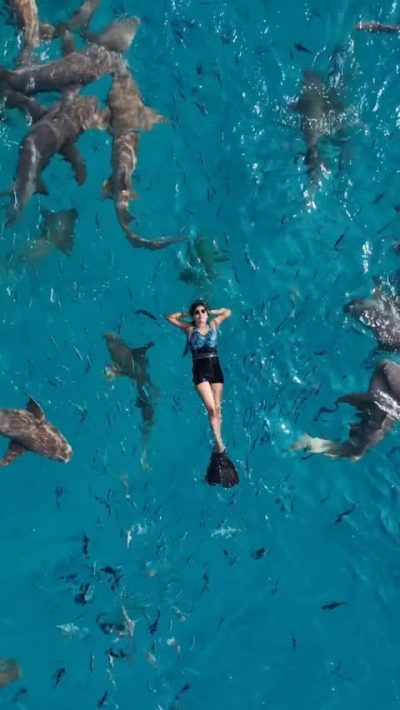 Shark Point Ari Atoll Maldives в сентябре — фото погоды (2025-09-21)