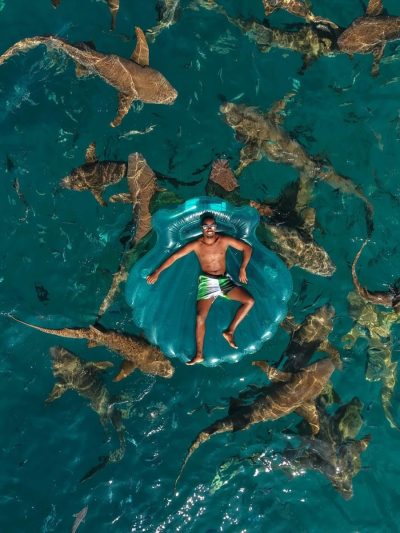 Shark Point Ari Atoll Maldives в ноябре — фото погоды (2025-11-17)
