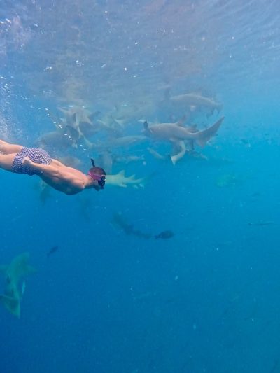 Shark Point Ari Atoll Maldives в декабре — фото погоды (2025-12-24)