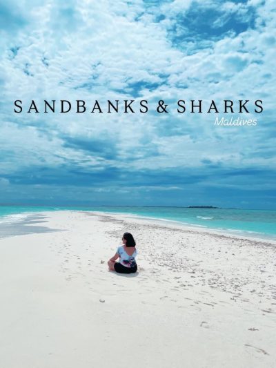 Shark Point Ari Atoll Maldives в феврале — фото погоды (2026-02-14)