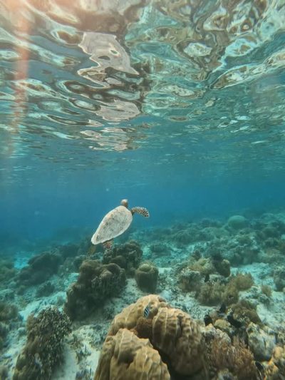 Gili Meno, Lombok, Indonesia в июне — фото погоды (2026-06-27)