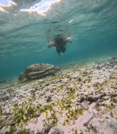 Gili Meno, Lombok, Indonesia в июле — фото погоды (2026-07-04)