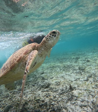 Gili Meno, Lombok, Indonesia в июле — фото погоды (2026-07-04)