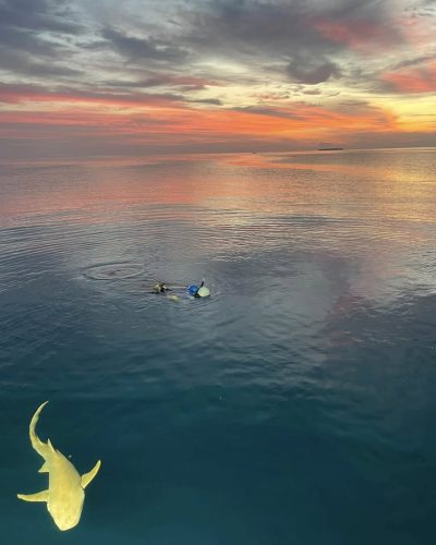 North Ari Atoll, Maldives, Indian Ocean в апреле — фото погоды (2026-04-22)