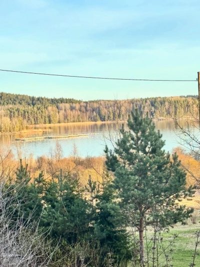 Ниэмелянхови в мае — фото погоды (2026-05-01)