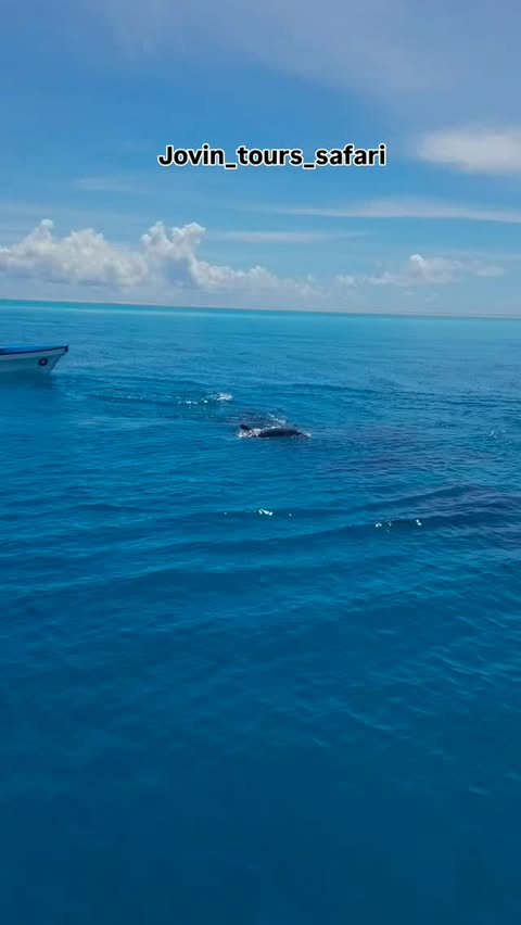 Погода в Mnemba Atoll Zanzibar