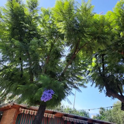Giardini Naxos,Sicily в январе — фото погоды (2026-01-20)