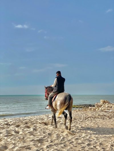 Sidi Jmour Jerba в марте — фото погоды (2026-03-29)