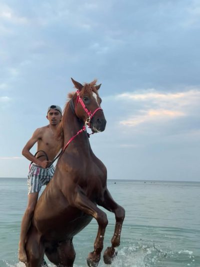 Sidi Jmour Jerba в июне — фото погоды (2026-06-30)