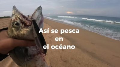 Puerto Vallarta Beach, Mexico в апреле — фото погоды (2026-04-21)