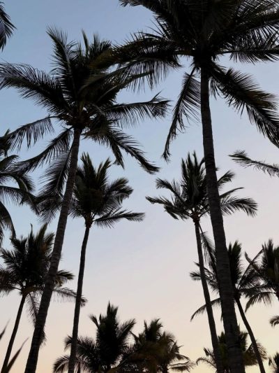 Puerto Vallarta Beach, Mexico в мае — фото погоды (2026-05-05)