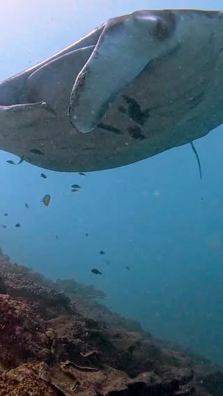 Manta Point - Nusa Penida в апреле — фото погоды (2026-04-26)