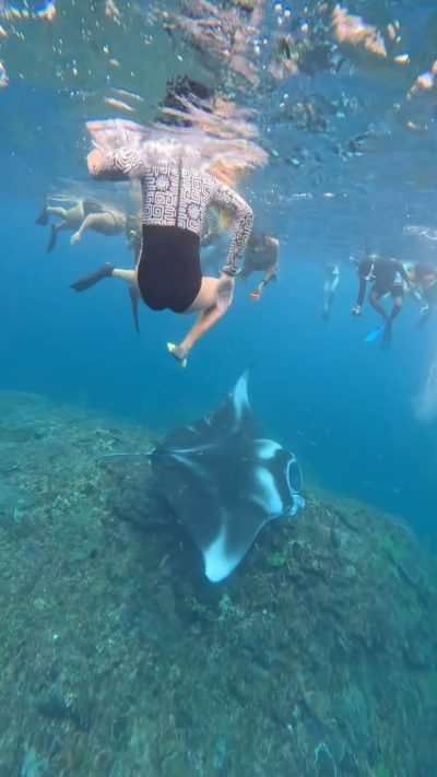 Manta Point - Nusa Penida в июне — фото погоды (2026-06-26)