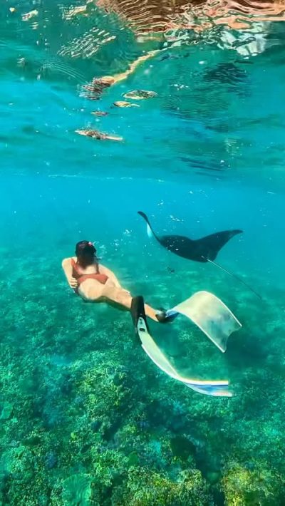 Manta Point - Nusa Penida в июне — фото погоды (2026-06-27)