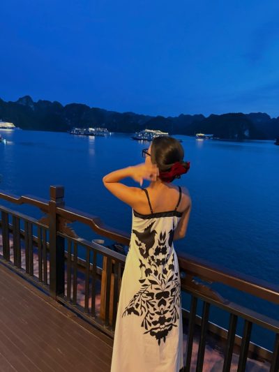 Halong Bay Cruises, Vietnam в июне — фото погоды (2026-06-27)