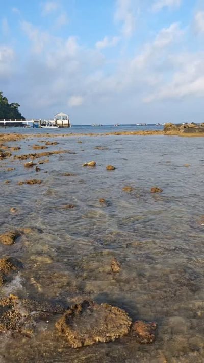 Paya Beach Resort, Tioman — фото погоды в июле (2025-07-16)