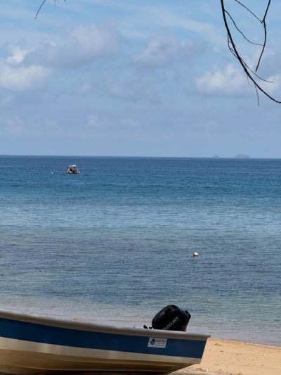 Paya Beach Resort, Tioman — фото погоды в мае (2026-05-16)