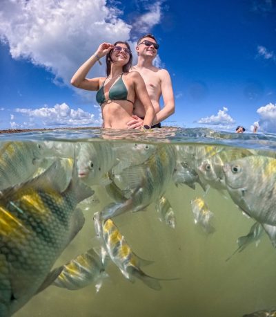 Piscinas Naturais -  Morro de São Paulo в мае — фото погоды (2026-05-22)