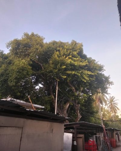 Novotel Lombok в декабре — фото погоды (2025-12-25)